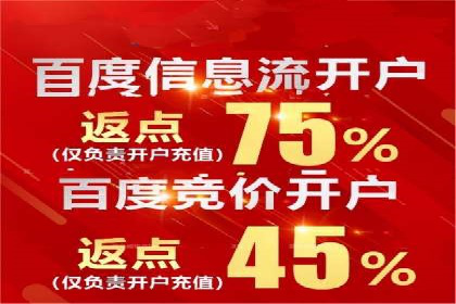 案例分析：高效信息流广告投放策略